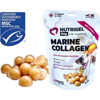 LK Baits PETs Nutrigel Dog Marine Collagen S M 100 g