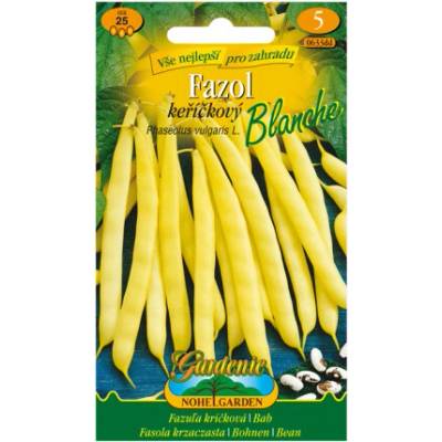 Nohel Garden Fazuľa kríčková BLANCHE, žltá
