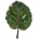 Verdissimo Monstera