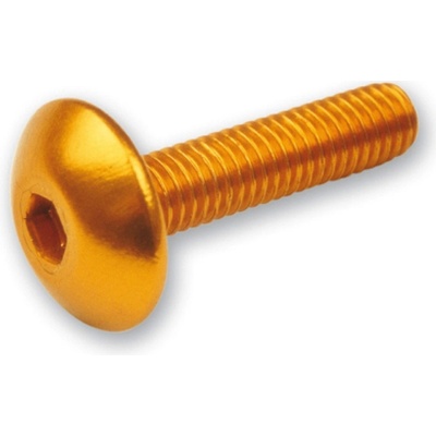 V PARTS (VICMA) sada šroubů do kapotáže M5X20 (6kusů) barva stříbrná (TA520PL)