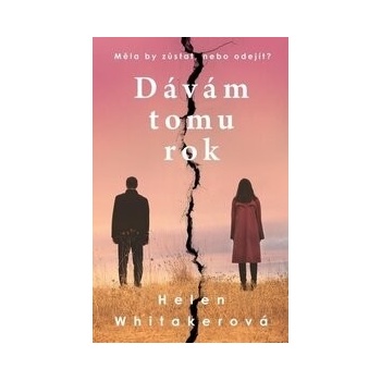 Dávám tomu rok
