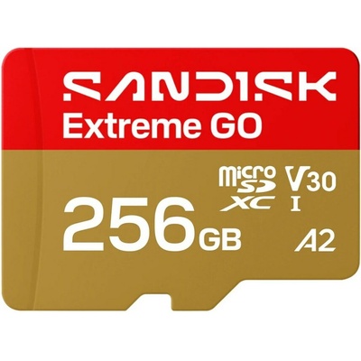 SanDisk Extreme Go microSDXC 256 GB SDSQXGN-256G-GN6MN
