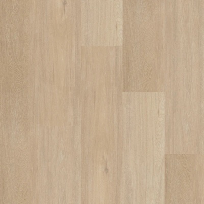 Therdex Chevron 12042 3,345 m²