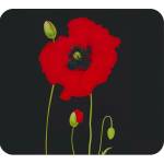 Maximex Капак за стена на готварска печка от закалено стъкло 50x56 cm Poppy - Maximex (2712905500)