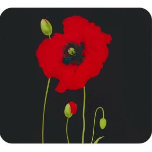 Maximex Капак за стена на готварска печка от закалено стъкло 50x56 cm Poppy - Maximex (2712905500)