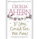 If You Could See Me Now