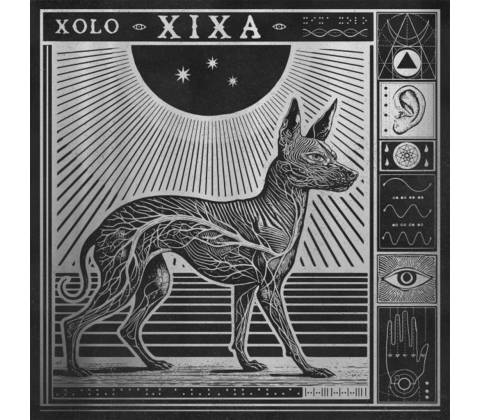 XIXA, XOLO, CD