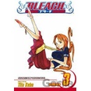 Bleach, Vol. 3