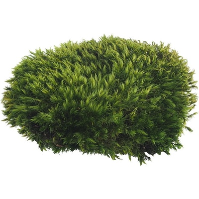 Stabilizovaný provensálsky mach 0,1m²