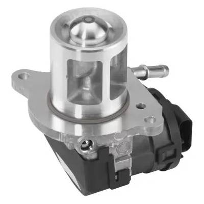 BorgWarner AGR ventil OE-Version/Genuine BGW 710095D