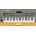 Roland JX-8P