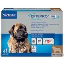 Effipro DUO Dog XL 40-60 kg 402 120 mg 4x4,02 ml