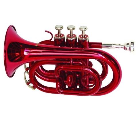Dimavery TP-300