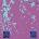 Tuxedomoon - Desire (Remastered) (LP) (5400863187576)