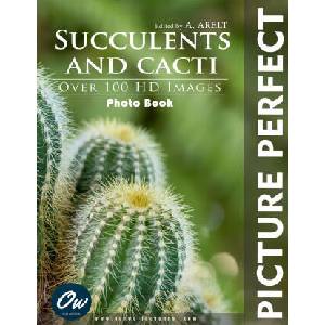 Succulents and cacti | Our World (2024)