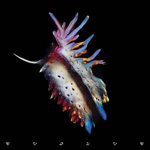 Universal Sub Focus: Evolve - CD (060960)
