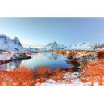 DIMEX ART Флизелинов фототапет зима в рейне 375 x 250 см