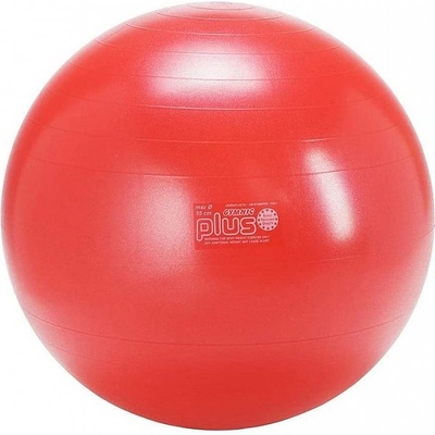 GYMNIC CLASSIC PLUS 55