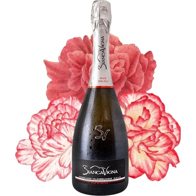 BiancaVigna Conegliano Valdobbiadene Prosecco Rive di Soligo Millesimato Extra Brut DOCG 0,75 l