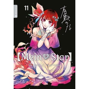 Mein*Star 11 (ISBN: 9783753921488)