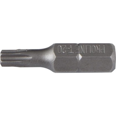 Bit utahovací TORX 30 x 25 mm s otvorem bez povrchové úpravy 61501503025
