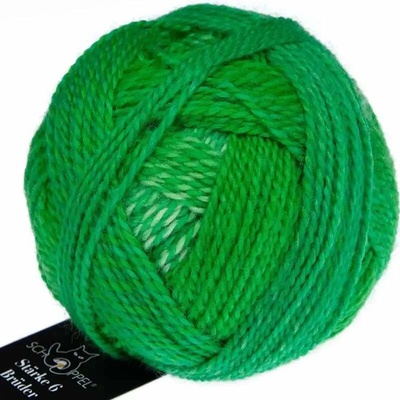 Schoppel Wolle Stärke 6 Brüder 2695 Konrad
