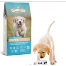Divinus Puppy 20 kg