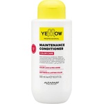 Yellow Professional Color Care Maintenance Conditioner 500 ml