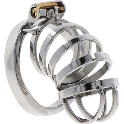 Hidden Desire Extreme Chastity Cock Cage Metal, kovový pás cudnosti pro muže 60 mm – Hledejceny.cz