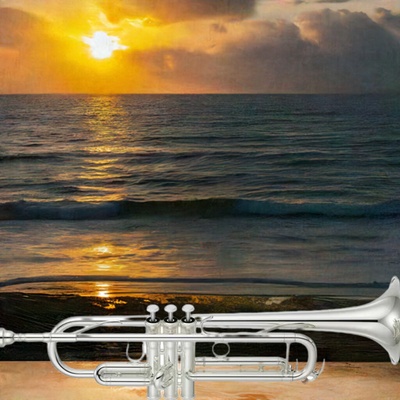 Yamaha YTR 4335 GSII