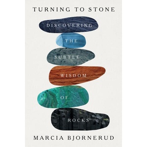 TURNING TO STONE | BJORNERUD MARCIA (2025)