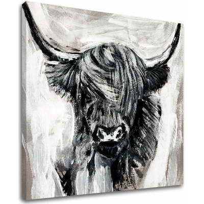 Obraz na plátne BÝK 001 60x60 cm