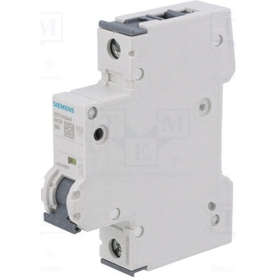 Siemens 5SY4104-6