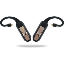 iFi GO pod