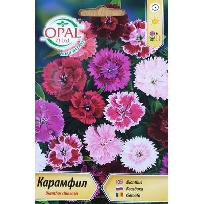 Opal Zi Карамфил Чайна Дол