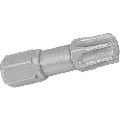 Kraftwerk Torx T10 - nerez KR-29310