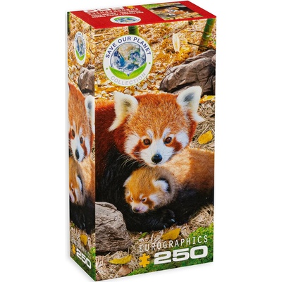 EUROGRAPHICS Пъзел Eurographics от 250 части - Червени пандички (82515557)