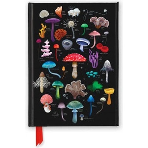 Anna Stead: Mushroom & Fungi Herbal (Foiled Journal) | Flame Tree Publishing (ISBN: 9781835625446)