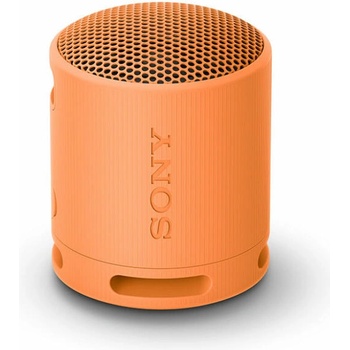 Image 1 of Sony SRS-XB100