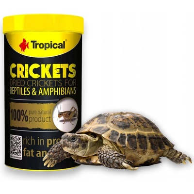 Tropical Crickets 100 ml