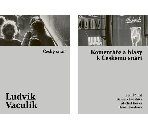 Český snář - Ludvík Vaculík