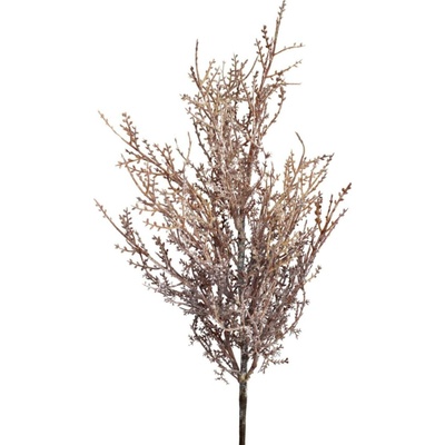 KONÁR OLIVOVNÍK, ČIERNE OLIVY 80CM