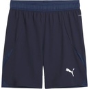 Puma teamFINAL