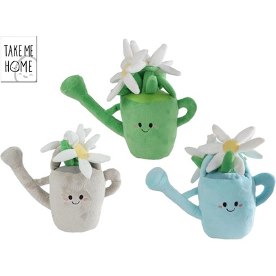 Mikro trading Take Me Home Rostlina pokojová v konvici 20 cm
