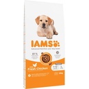 IAMS Dog Puppy Large Breed Chicken 2 x 12 kg