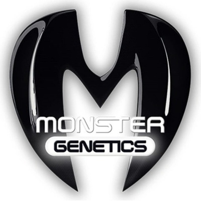 Monster Genetics Monster Bruce Banner semena neobsahují THC 5 ks