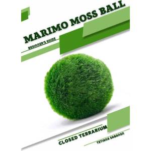 Marimo Moss Ball (2023)