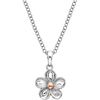 Hot Diamonds Přívěsek Forget me not RG DP749