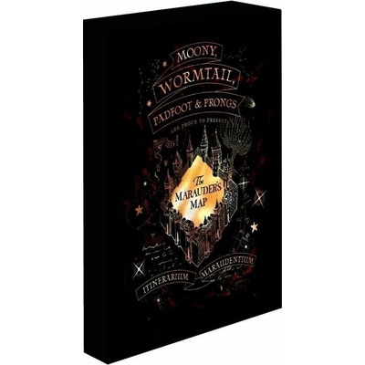 Paladone Svítící obraz Harry Potter - Pobertův plánek
