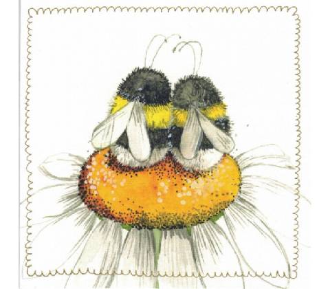 Přání Daisy Bees
